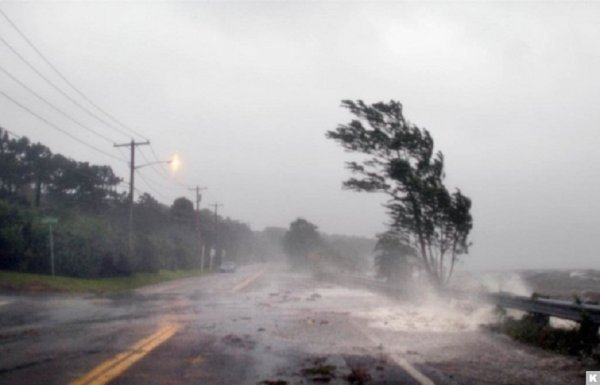 В Бельгии оценивают последствия урагана «Элеонора»