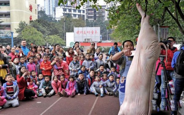 В детском саду Китая малышам показали, как разделывать свинью