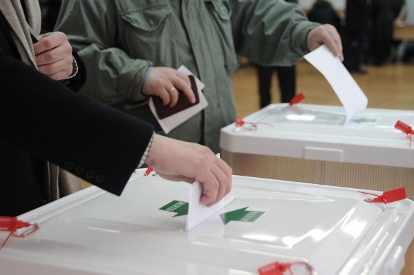 Опрос показал, сколько граждан РФ поучаствуют в выборах-2018