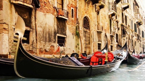 В Венеции обмелели каналы и оставили гондольеров без работы