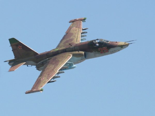 Клинцевич: Сбивший Су-25 ПЗРК террористы приобрели у США