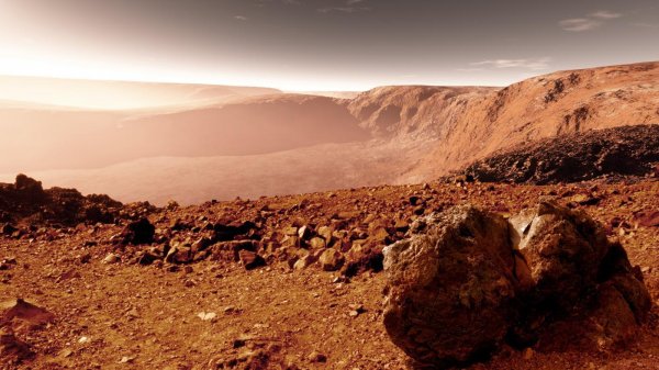 Илон Маск предлагает отправить на Марс людей X