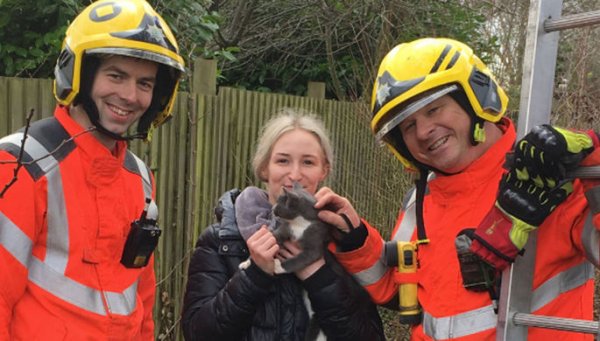 В Британии спасавшая застрявшего на дереве котика женщина застряла сама