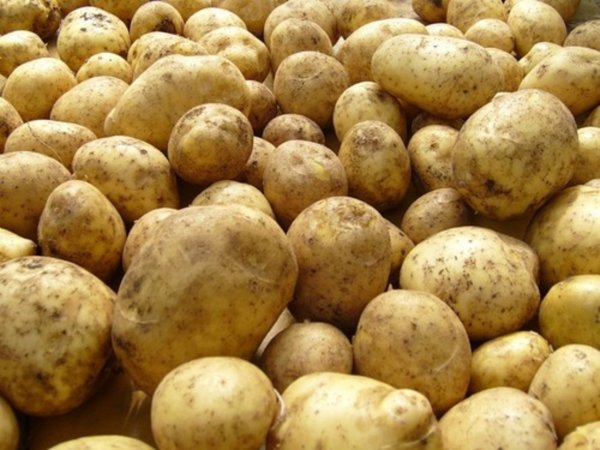 С 16 марта Россия ограничивает ввоз картофеля из Египта