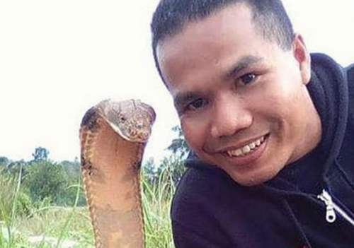 Известный укротитель змей из Малайзии умер от укуса кобры