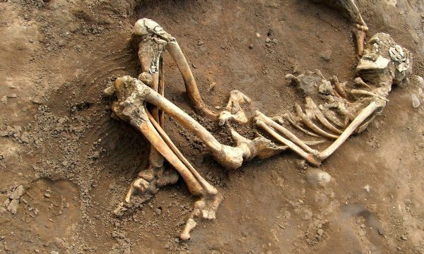 В Мексике во время раскопок была обнаружена могила с массовыми захоронениями