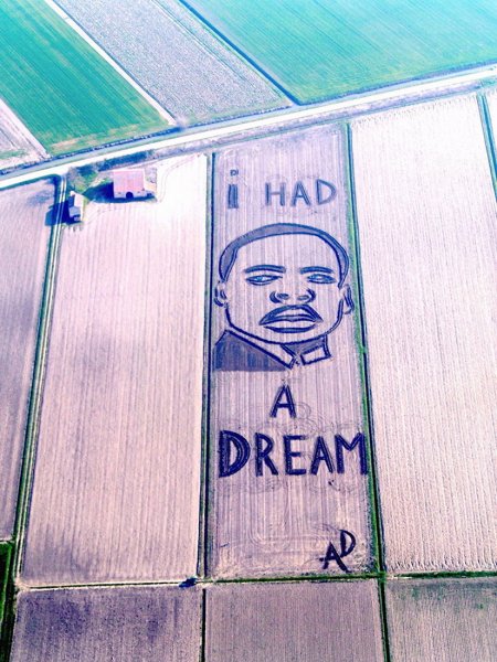 Итальянский художник с помощью трактора на поле нарисовал портрет Мартина Лютера Кинга