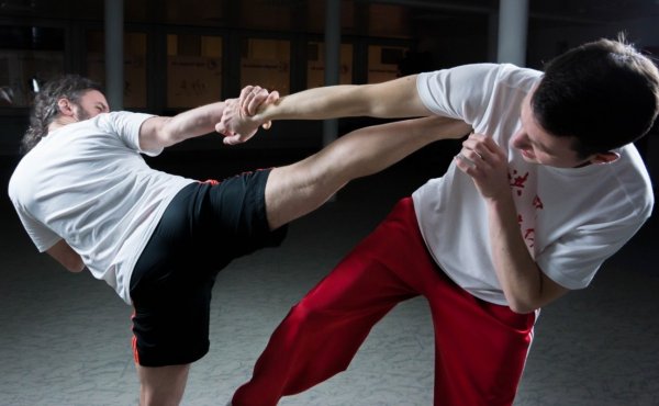 В этом году в Брянске пройдет Всероссийский фестиваль боевых искусств