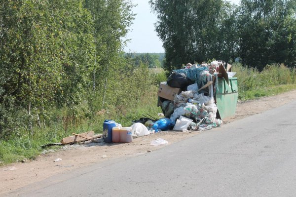Белорусов заставили убирать за собой мусор в Польше
