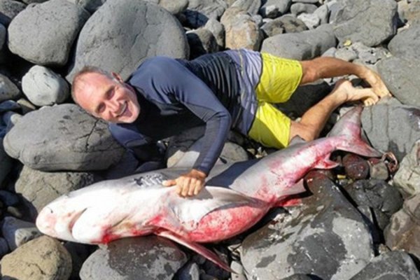 Австралийский серфингист из-за страха атаковал акулу и вытащил ее на берег
