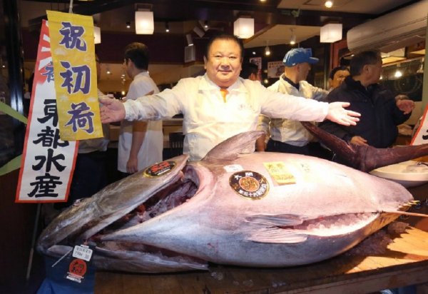 Японцы подарили Матвиенко 237-килограммового тунца