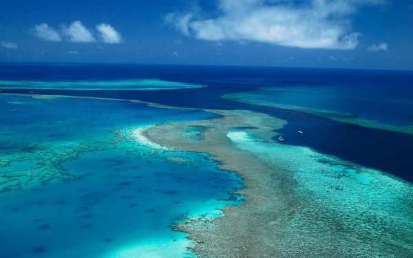 Австралия выделит 500 млн долларов на защиту Большого Барьерного рифа