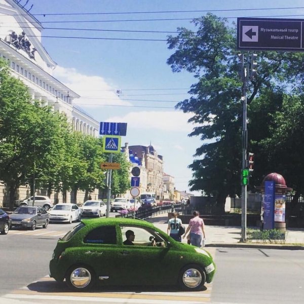 Ростовчане запечатлели автомобиль любителя свежей травки