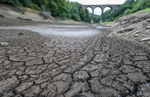 Аномальная жара превратила Великобританию практически в пустыню