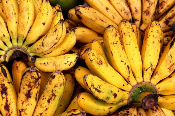«Свежий банан каждый день»: В Южной Корее решили назойливую проблему