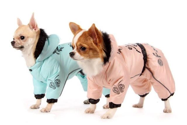 Куртки для собак
