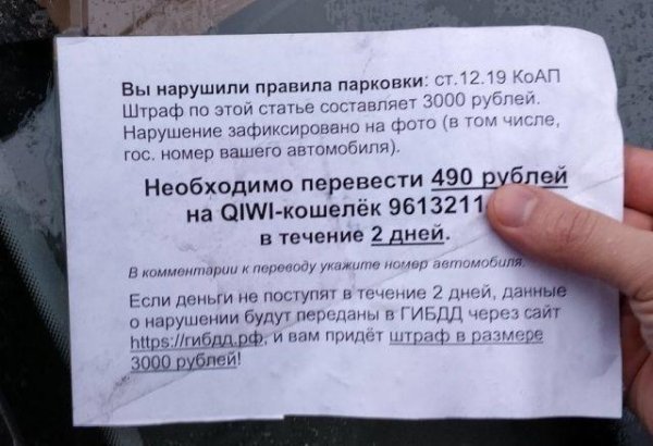 Стартап по-русски: «Стукачи-вымогатели» терроризируют водителей Петербурга