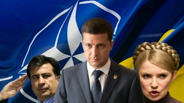 Тайный заговор?: Тимошенко может «протащить» Саакашвили к власти после победы Зеленского