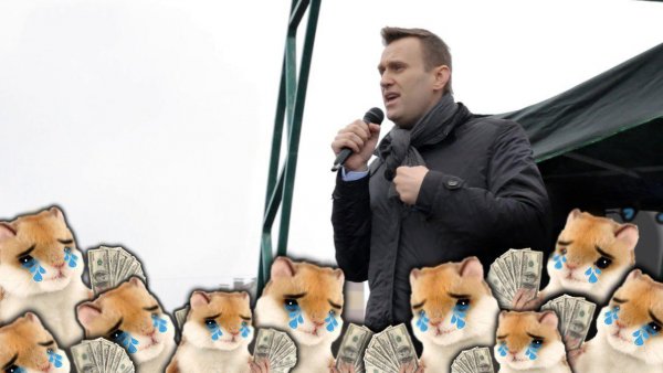 «Хомячки» столько не заплатят. Громкие расследования Навального щедро оплачивались биткоинами