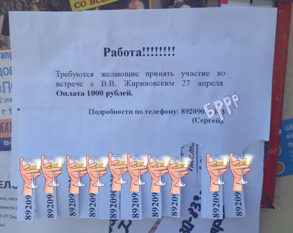 Пропал шашлык: Владимирцев одурачили «заработком» 1000 рублей на массовке для визита Жириновского – Сеть