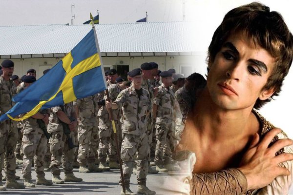 От викингов до гомосексуалистов: Армия Швеции показала новые агитационные плакаты