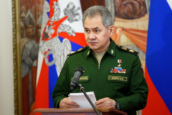 Шойгу рассказал об отмене призыва в российскую армию