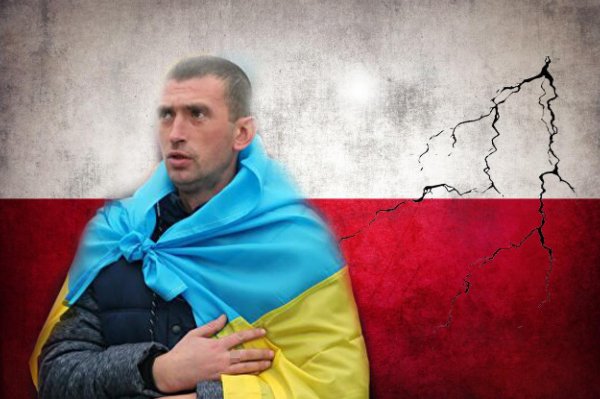 «Снова война?»: Украинцы грубо ответили экс-главе МИД Польши о возвращении Крыма