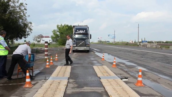 «Чует кот, чьё мясо съел»: «Беспределящие» гаишники с М4 «Дон» прячутся при виде дальнобойщиков – сеть