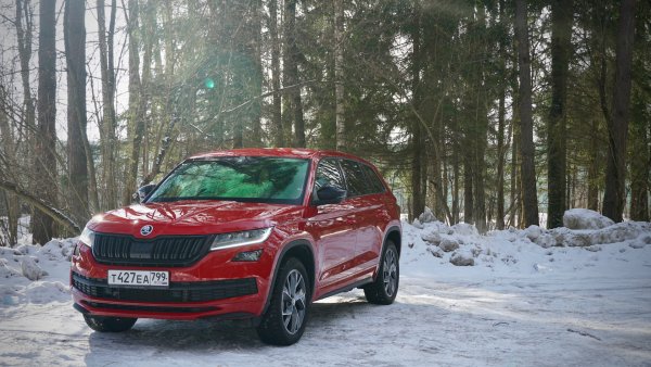 Большой медведь против гордого льва: Peugeot 5008 VS Skoda Kodiaq – выбор лучшего «семейника» до 3 млн рублей