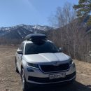 Автовладелец рассказал, чем примечателен Skoda Kodiaq 2020: «Совершеннее, длиннее и умнее Toyota RAV4»