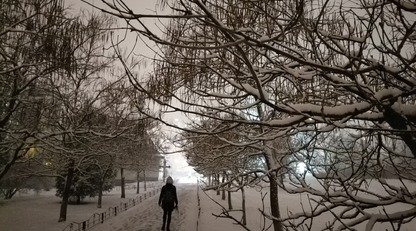 Зимняя сказка в ноябре: киевляне делятся в сети яркими фото и видео первого снега