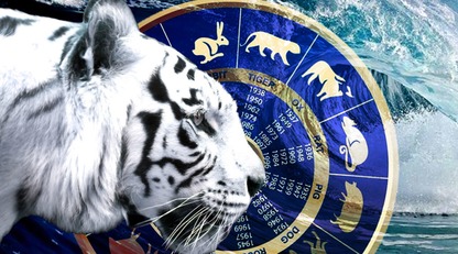 Черный Тигр несет удачу и богатство: названы самые счастливые месяцы 2022 года