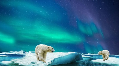 Арктике грозит глобальное потепление: снегопады сменятся дождями