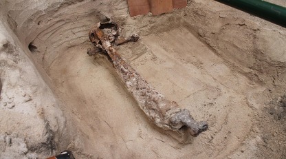 Археологи нашли редкий меч викингов с украшениями: фото