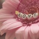 С Днем святого Валентина: трогательные видеопоздравления и признания в любви в смс